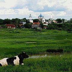 фото "Вместе посмотрим?"