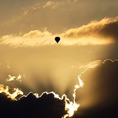 photo "lonely traveller"