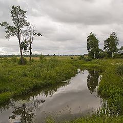 photo "Gloomy summer..."