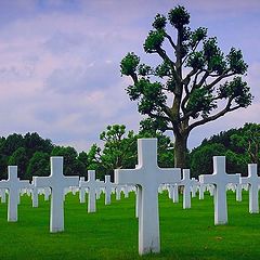 photo "American Cemetery world war II"