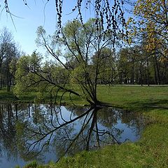 фото "летний пейзаж-    отражение."