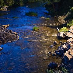 photo "The river"