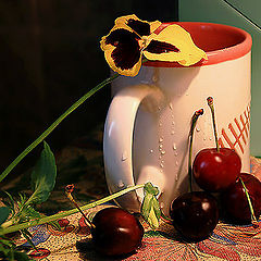 фото "Глазки :-)"
