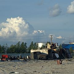 фото ""Пикник на обочине""