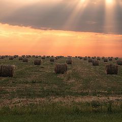 фото "Сельские пейзажи"