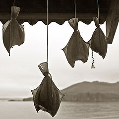 photo "***"