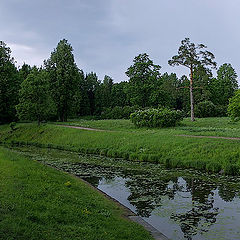 фото "Старый парк"