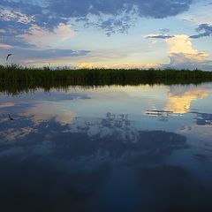 фото "Под летящими облаками"