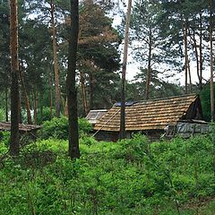 фото "Лесной домик"