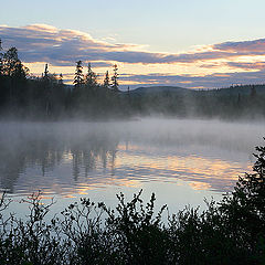 photo "Polar midnight"