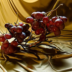 photo "The grape"