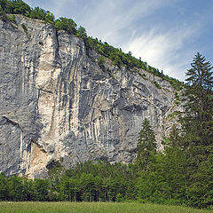 photo "Natural wall"