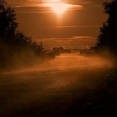 photo "After a rain"