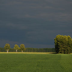 фото "гроза в июле"