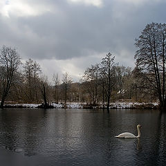 фото "Белые кораблики."