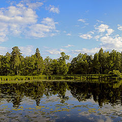 photo "Backwater"