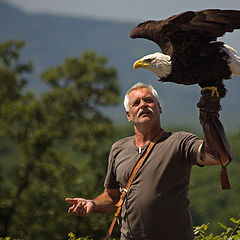 photo "Sovereign of bird"