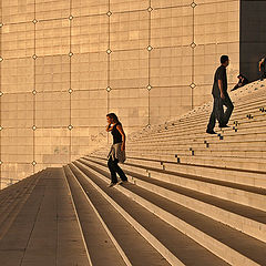 photo "Ladder"