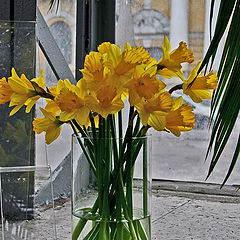 photo "Happy birthday, dear, Bere!!!"