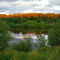 фото "Последние лучи..."