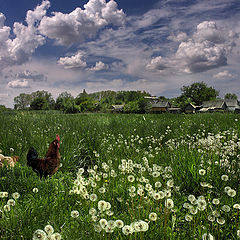 фото "Хуторские гулянья"