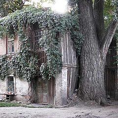 фото "старый дом"