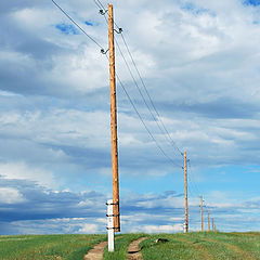 фото "Опасная дорога"