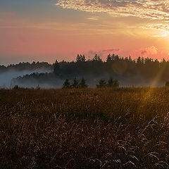 photo "After the rain."