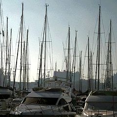 фото "lights of  Genoa, the "Lanterna""