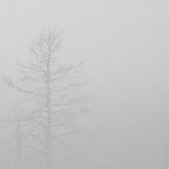 фото ""потерянные""