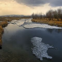 photo "White sheep"