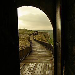 фото "the door"