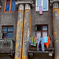 photo "Windows"