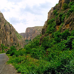 photo "Road to Noravank"