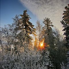 фото "Испей прохладу"