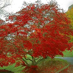 фото "paesaggio montano"