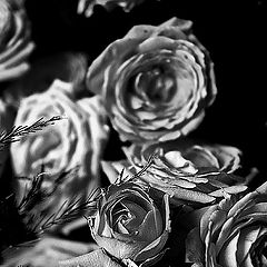 photo "***"