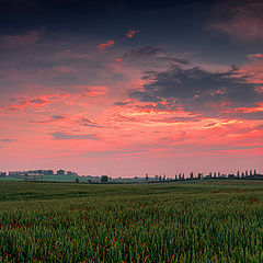 photo "Irish Fields"