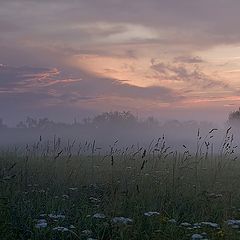 фото "Утро в розовых тонах"