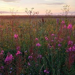 фото "Первые лучи"