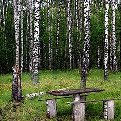 photo "Do not run past summer"