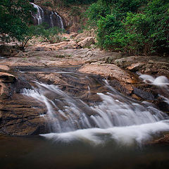 фото "Hong Kong Oasis"