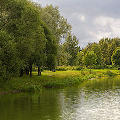 photo "Cloudy. Park. Petersburg."