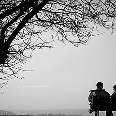 фото "under the tree"