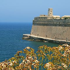 photo "Malta"