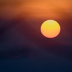 photo "A method of shooting the sun at sunset through the branches"