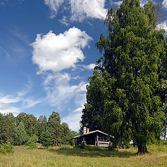 фото "летний пейзаж с   домиком"