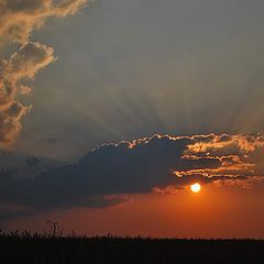 фото "Восход сонца в поле"