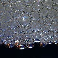 photo "Bubbles"