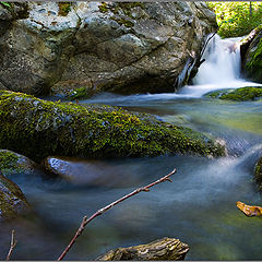 фото "Живая вода"